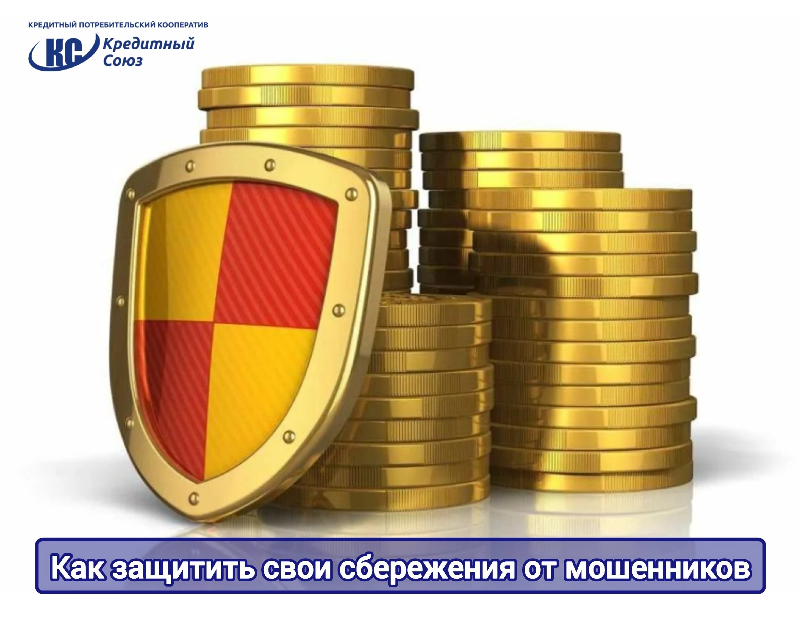 IMG 20210803 124916